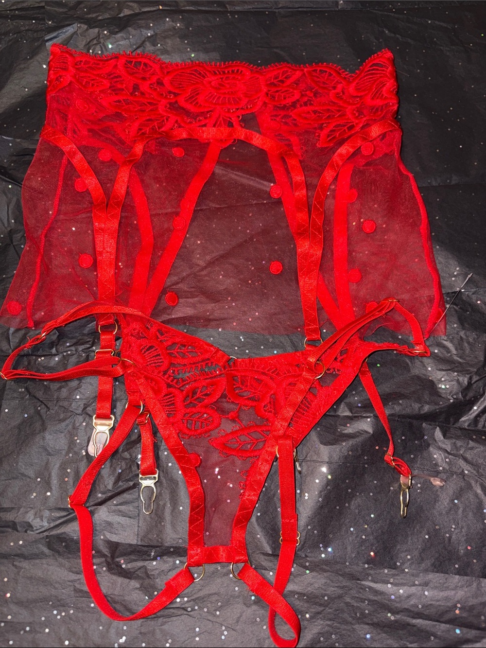 NWOT RARE FIND SHEER SLIP OVER Sheer Red Lace Garter Set - Women's Intimates